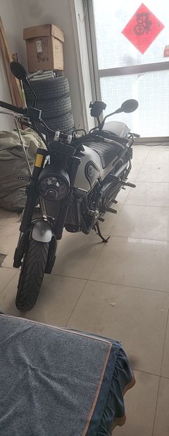 Benelli Lion Cub Leoncino 500 - фото 2