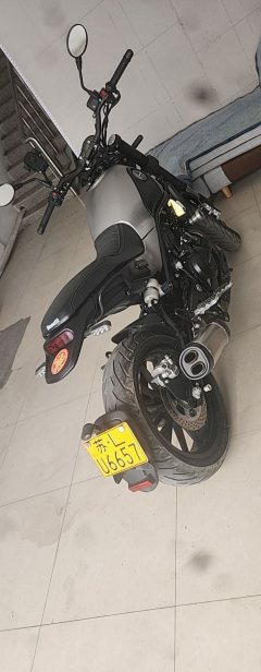 Benelli Lion Cub Leoncino 500 - фото 3