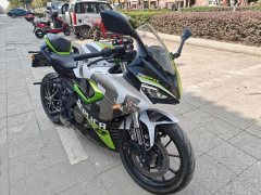 QJMOTOR SRK 250 - фото 2