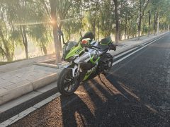 QJMOTOR SRK 250 - фото 4