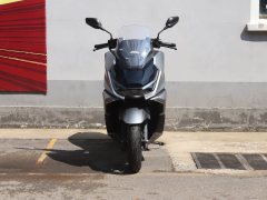 Sundiro Honda NS150GX - фото 2