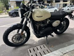 Triumph Scrambler 900 - фото 10