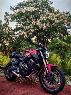 Honda CB650R - фото 3