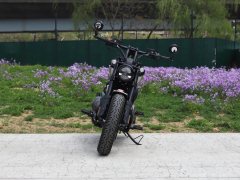 Benda 250 - фото 11