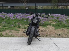 Benda 250 - фото 2