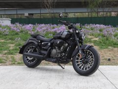 Benda 250 - фото 3