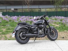 Benda 250 - фото 7