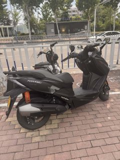 QJMOTOR Hong 250 - фото 2