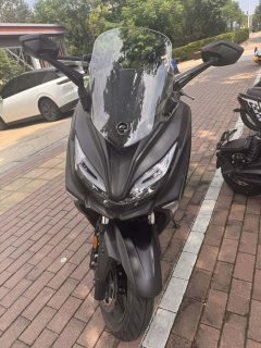 QJMOTOR Hong 250 - фото 3