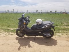 Honda NSS350 (import) - фото 1