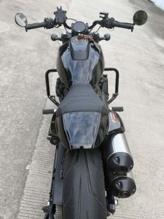 Harley-Davidson Sportster S 1250 cc - фото 4