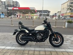 CFMOTO 450CL-C - фото 2