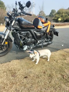Cyclone RA401 400 cc - фото 4