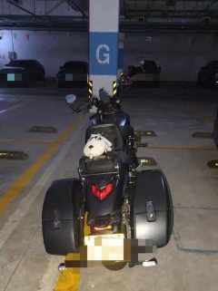 Haojue TR300 - фото 1