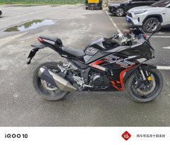 Nuoma Phantom 255S 250 cc - фото 3