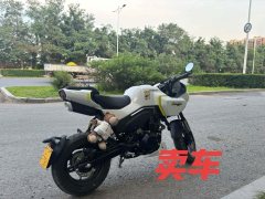 CFMOTO Papio XO-1 125 cc - фото 1