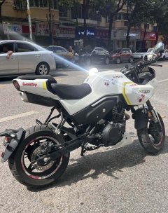 CFMOTO Papio XO-1 125 cc - фото 2