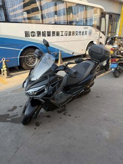 QJMOTOR Hong 250 - фото 3