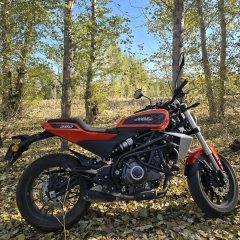 Harley-Davidson X 350 - фото 1
