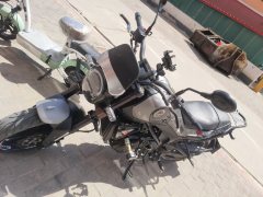 Benelli Leoncino 250 - фото 2
