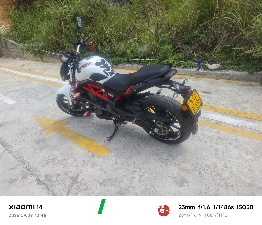 2022 Benelli TNT 300 / BN 302S