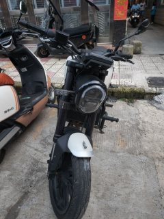 Benelli Leoncino 250 - фото 3