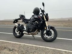 QJMOTOR 600 680 cc - фото 2