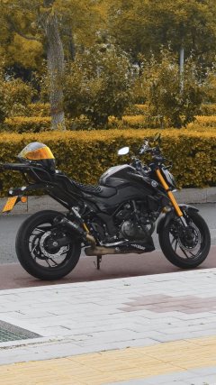 Haojue DR300 - фото 3