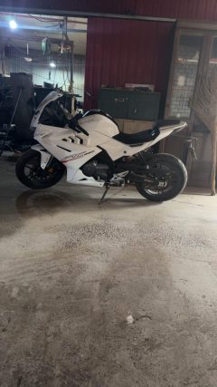 Cyclone RC250 - фото 4