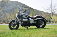 Jueshijie DX250 - фото 1