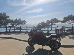 Benelli Jinpeng TRK502 500 cc - фото 4
