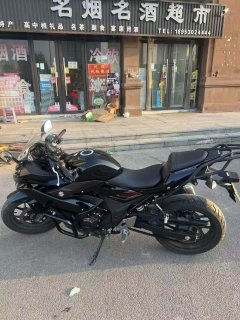 Haojue Suzuki GSX250R - фото 2