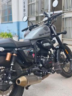 Cyclone RA2 250 cc - фото 1