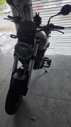 Cyclone RE600 560 cc - фото 1