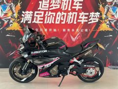 QJMOTOR 450 - фото 3