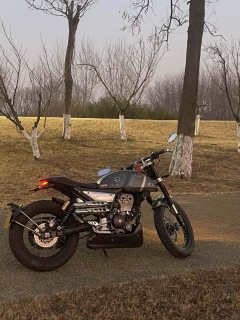 Zongshengapuliya CR 150 - фото 2