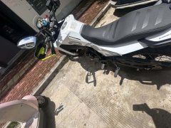 Benelli BKX250 - фото 3