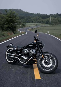 Thunder Beast Lightning Soft Tail Edition 250 cc - фото 1