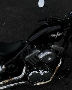 Thunder Beast Lightning Soft Tail Edition 250 cc - фото 2