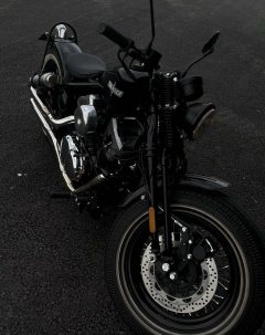 Thunder Beast Lightning Soft Tail Edition 250 cc - фото 3