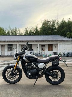 Triumph Scrambler 400 X - фото 9