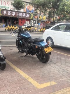 SHINERAY 12,200 1200 cc - фото 2