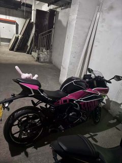 CFMOTO 250SR - фото 1