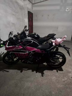 CFMOTO 250SR - фото 2