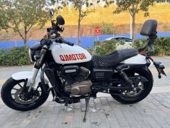 QJMOTOR Flash 300 - фото 2