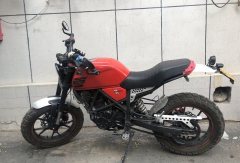 Yingang Iron Fist TR 250 - фото 2