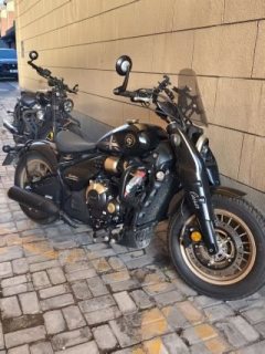 Cyclone RA600 560 cc - фото 2