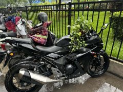 Haojue Suzuki GSX250R - фото 2