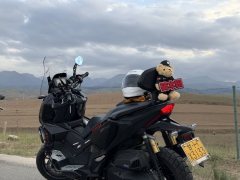 Honda ADV350 - фото 6