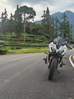 CFMOTO 250SR - фото 4